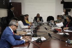 Dr. Castaneda explica a Comisión de la Asamblea el Ante Proyecto de Reformas a la LEG