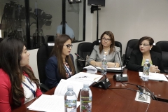 Wendy Mulato, jefe de UEL, explica aspectos técnicos del Ante Proyecto de Reforma.