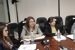 Ada Melvin Villalta, Coordinadora de Instrucción, explica aspectos técnicos del Ante Proyecto de Reforma.