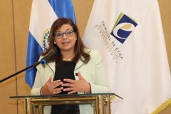 3- Licda. Rosario de Barillas, Miembro del Pleno,  rindiendo cuentas sobre gestión del área de capacitación y divulgación