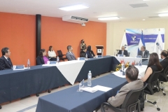4. Pleno del TEG y Pleno de Comisionados IAIP.